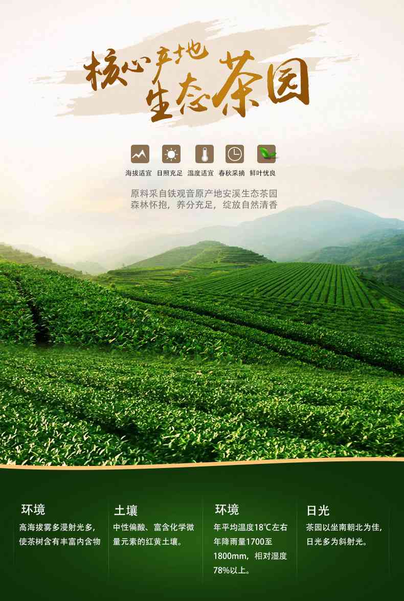 包含惠州98服务的地方_呼和浩特新茶到货的词条